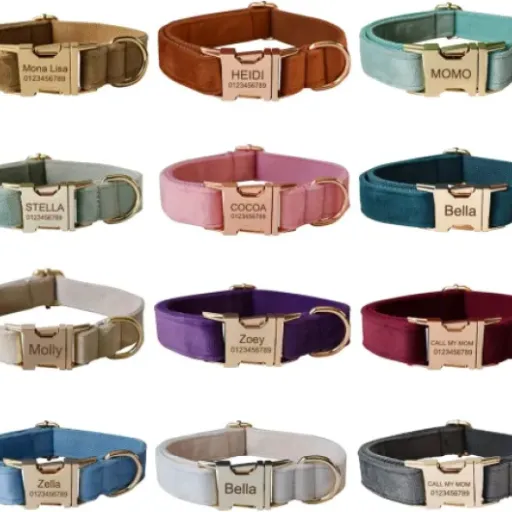 Test collier pour chien personnalisé MEWOGOL (velours) : pratique, joli, mais pas pour tous les chiens