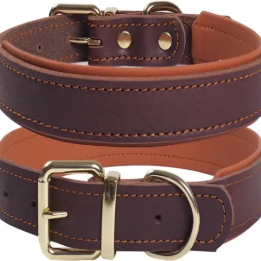Test Collier pour Chien en Cuir Rembourré TIANTIANN : simple, costaud et plutôt confortable