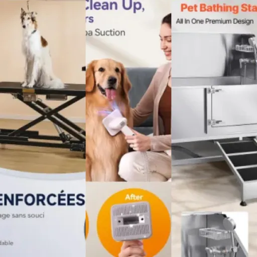 Comparatif des 10 meilleurs stations de toilettage premium pour chien (juin 2026)