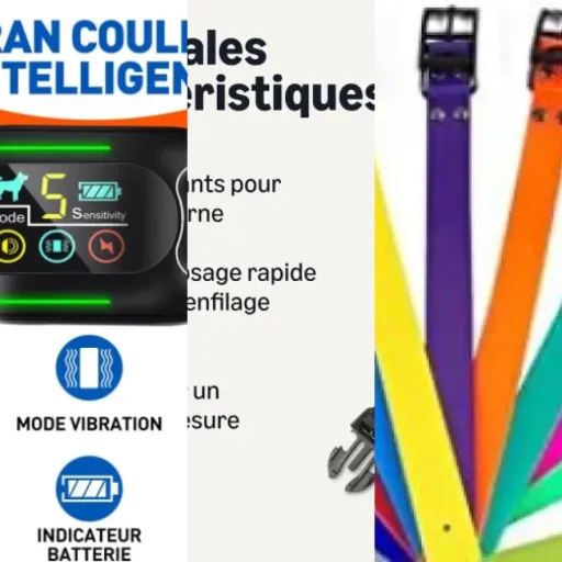Guide d'achat : les 10 meilleurs colliers chien (juin 2026)