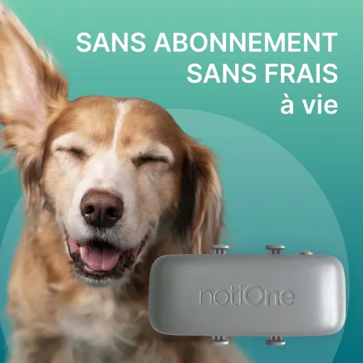 Traceur GPS Pet Plus pour Chien & Chat – sans abonnement, étanche, géofence et Roaming Gratuit