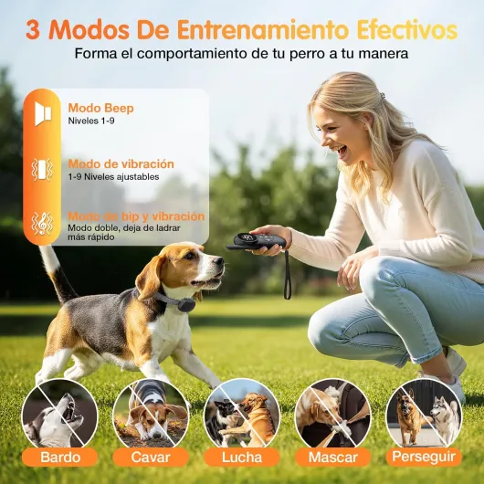 Collier De Dressage pour Chien, 2600 FT Collier Electrique pour Chien, 3 Modes de Dressage, Étanche IPX7 Rechargeable, Adapté à Tous Les Chiens Serrures de Sécurité (Noir)