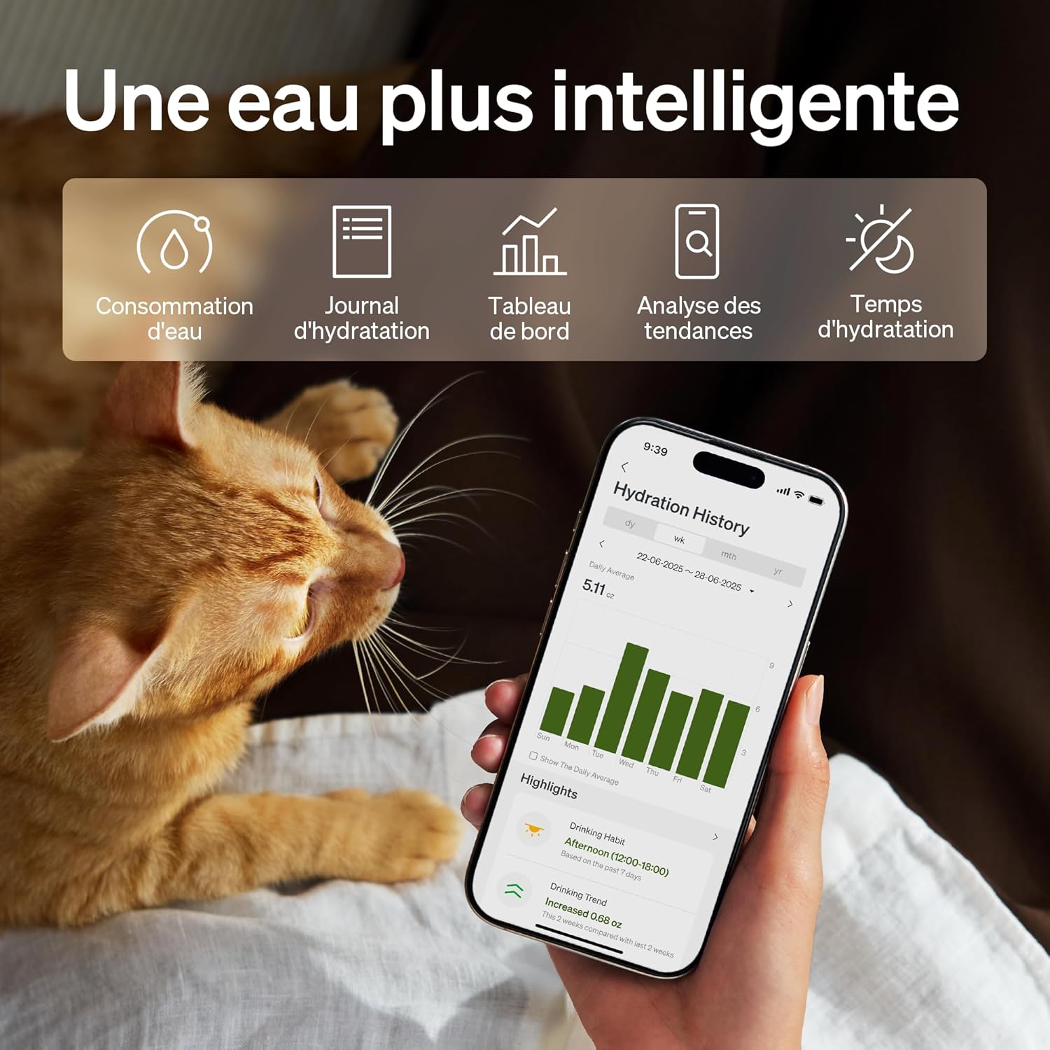Dockstream 2 Fontaine à Eau sans Fil pour Chats, 3L/101oz, avec Batterie et Plateau en INOX, Distributeur d'eau WiFi 5GHz, idéal pour Chats et Chiens - Distributeur Eau Chat Automatique Noir 3 L WiFi rechargeable
