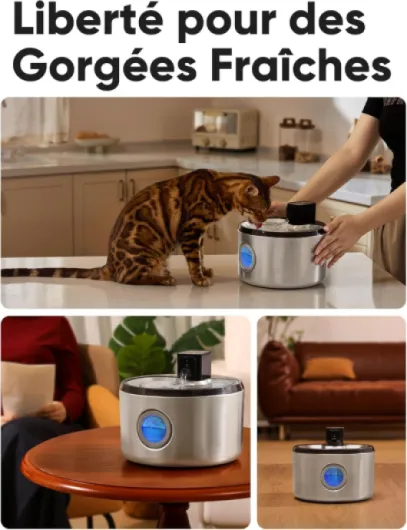 Fontaine à Eau pour Chat sans Fil, 4,5L en Acier Inoxydable, Distributeur d'eau pour Chien à Batterie, Fontaine Automatique pour Animaux avec 3 Modes, Hydratation Jusqu'à 15 Jours 4,5L Fontaine