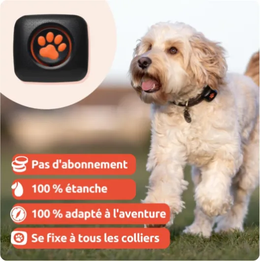 PitPat 2 - Moniteur d'Activité Chien