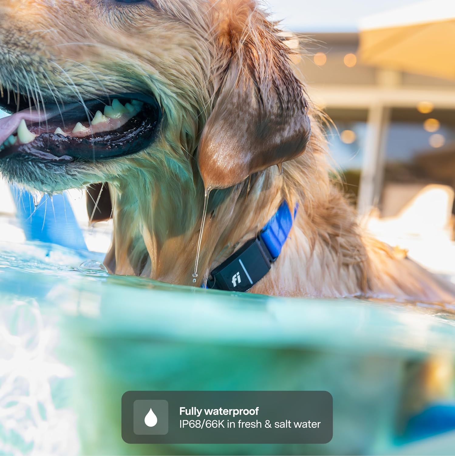 Fi Collier intelligent pour chien Series 3+ - Tracker GPS pour chien et moniteur d'activité et de fitness, étanche, lumière LED, alertes d'évasion, couverture nationale [abonnement gratuit de 6 mois jaune Moyens