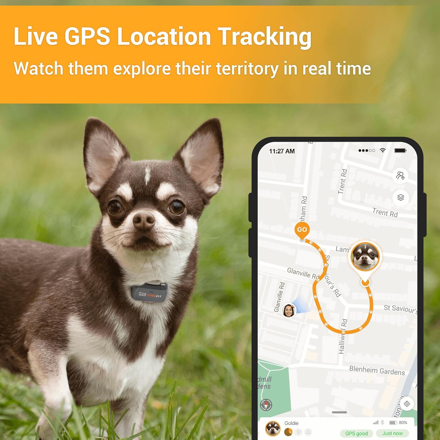 Pawfit Tracker GPS Lite pour petits chiens 4 g - Suivi en temps réel - Suivi des activités - Historique de localisation - Portée illimitée - Gris anthracite
