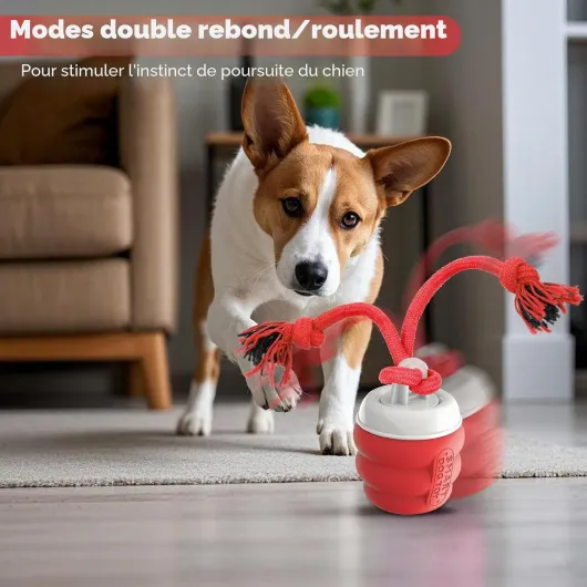 Balle Interactive Chien – Jouet Interactif Balle Chien Rechargeable USB, Balle pour Chien avec Corde à Mâcher, Balle Chien Qui Bouge Toute Seule pour Chiens de Petite, Moyens Rouge Petit