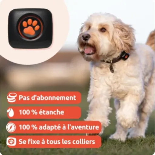 Test PitPat 2 : le petit traqueur pour chien qui fait le job (mais pas plus)
