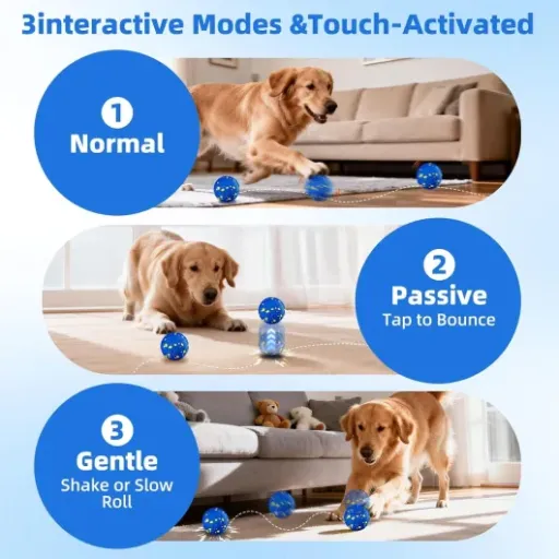 Test Jouet Chien Interactif TOPsic : une balle qui occupe bien le chien, mais pas pour les gros destructeurs