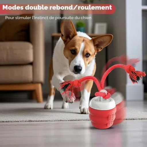 Test Balle Interactive Chien FUGODIWI : un bon jouet pour fatiguer le chien… si on accepte quelques limites