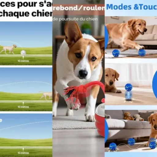Les 4 meilleurs jouets interactifs pour chien (2026)