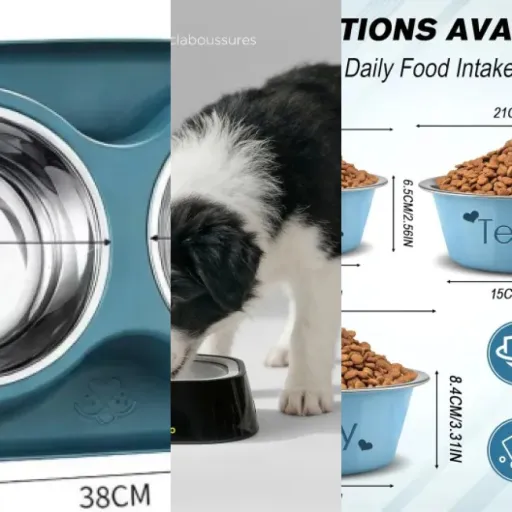 Top Gamelles pour chien