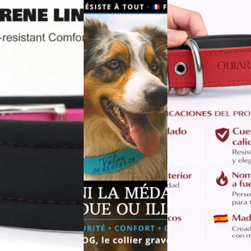 Top Colliers chien personnalisés