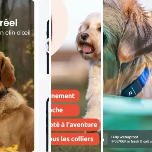 Top Capteurs d’activité pour chien