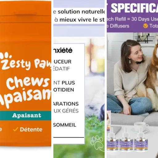 Top Solutions anti-stress connectées pour chien