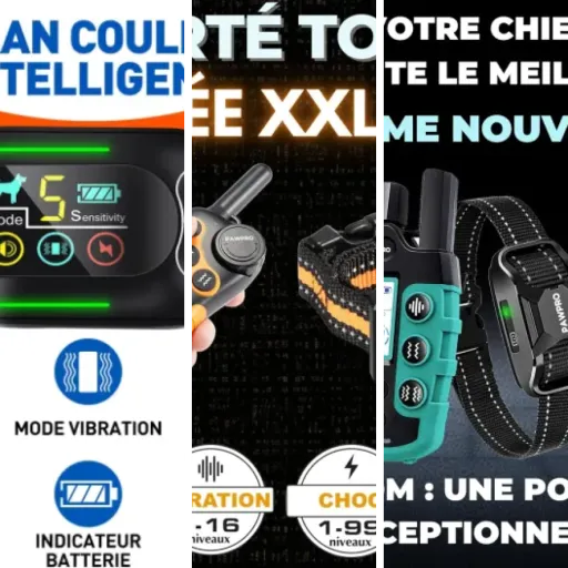 Top Colliers de dressage premium pour chien