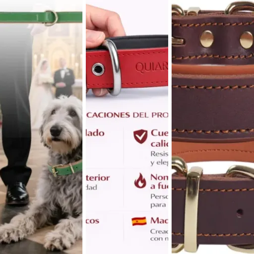 Top Colliers chien cuir